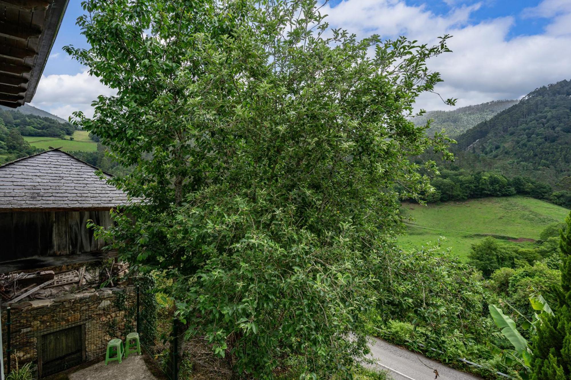 Maseda 1 Villa Villayon Bagian luar foto
